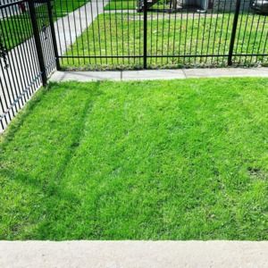 Meet your Posher, Quintus